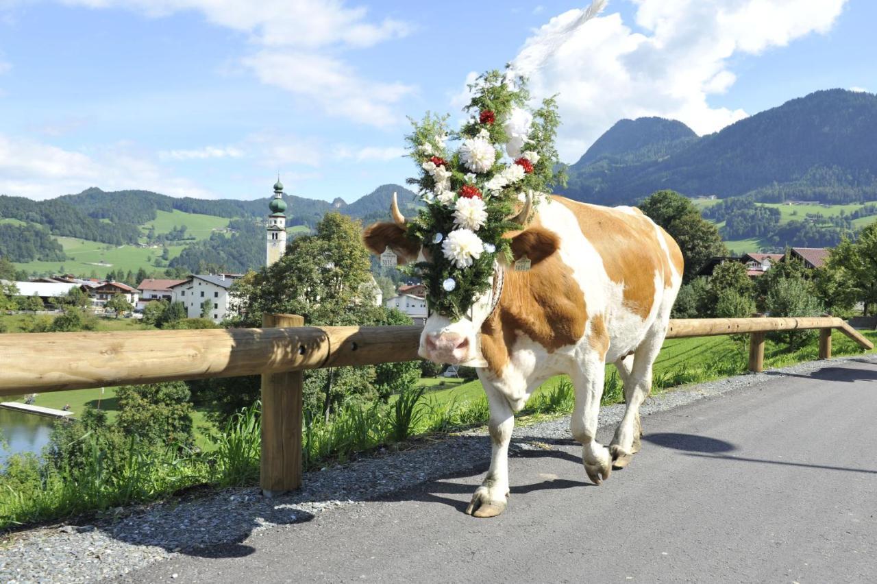 Apartament Hochmuthhof Reith im Alpbachtal Zewnętrze zdjęcie